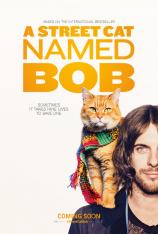 一只叫做鲍勃的流浪猫/流浪猫鲍勃 A Street Cat Named Bob