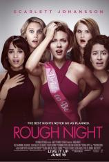 仓皇一夜 Rough Night