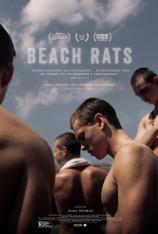 沙滩鼠 Beach Rats