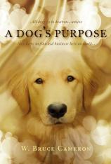 一条狗的使命 A Dog's Purpose
