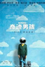 奇迹男孩（4K原盘） Wonder (4K UHD)