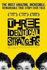 孪生陌生人 Three Identical Strangers