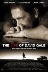 大卫戈尔的一生 The Life of David Gale
