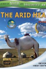 狂野亚洲-干旱贫瘠的中心地带 Wild Asia-The Arid Heart