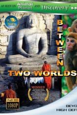 狂野亚洲-两个世界 Wild Asia-Between Two Worlds