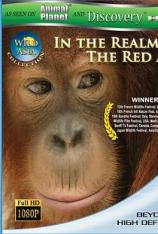 狂野亚洲-赤猿的领地 Wild Asia-The Realm Of The Red Ape