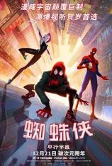 蜘蛛侠：平行宇宙（4K原盘 全景声） Spider-Man: Into the Spider-Verse (4K UHD Atmos)