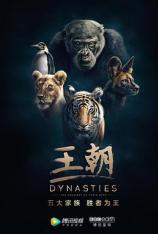 BBC 王朝（4K原盘） Dynasties (4K movie)