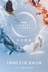 BBC 完美星球（4K纪录片） A Perfect Planet (4K)