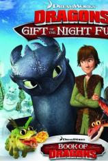驯龙高手番外篇-龙的礼物 Dragons-Gift of the Night Fury