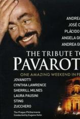向帕华洛帝致敬 The Tribute to Pavarotti-One Amazing Weekend in Petra
