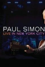 保罗 西蒙 纽约现场演唱会 Paul Simon Live In New York City