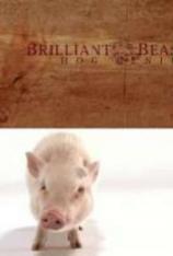 国家地理-动物天才-猪 Brilliant Beasts-Hog Genius