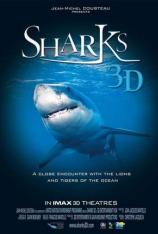鲨鱼 (2004) Sharks