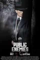 公众之敌 Public Enemies