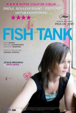 鱼缸 Fish Tank
