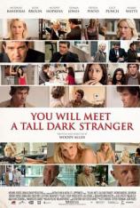 遭遇陌生人 You Will Meet a Tall Dark Stranger