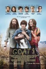 羊群 Goats
