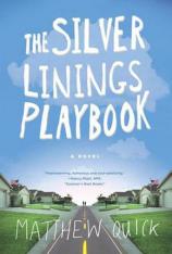 乌云背后的幸福线 The Silver Linings Playbook