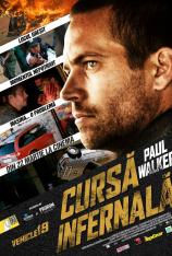 19车 Vehicle 19
