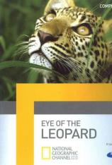 国家地理-豹的眼睛 Eye of the Leopard