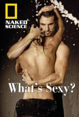 国家地理-科学新发现:怎样才性感 Naked Science: What's Sexy?