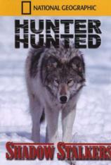 国家地理-猎人猎物-狼开杀戒 Hunter Hunted: Shadow Stalkers