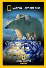 国家地理-地球上的食肉动物-北极熊 Planet Carnivore-Ice Bear