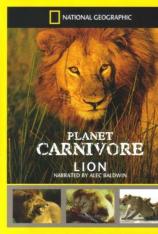 国家地理-地球上的食肉动物-狮子 Planet Carnivore-Lion