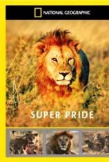 国家地理-狮王争霸 Super Pride