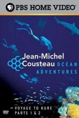 国家地理-尚米榭库斯托海洋探险:灰鲸迁徙路 Jean-Michel Cousteau-Ocean Adventures-The Gray Whale Obstacle Course