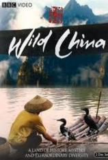 BBC 美丽中国 BBC Wild China