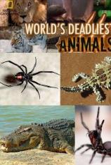 国家地理-世界致命动物-中美洲 Deadliest Animals-Central America