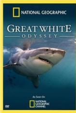 大白鲨的长途冒险旅程 Great White Odyssey