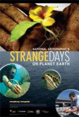 国家地理-地球有难-滥捕危机 Strange Days on Planet Earth-Dangerous Catch