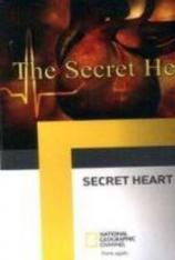 国家地理-心事谁人知-心跳节奏 The Secret Heart-Short Circuit