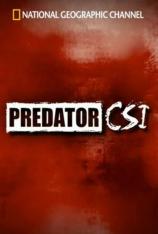 国家地理-掠食者犯罪现场-僵尸鳄鱼 Predator CSI-Zombie Alligators