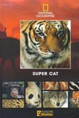 国家地理-大型猫科类动物 Super Cat