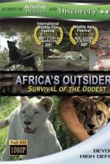 非洲的基因突变动物 Africa's Outsiders