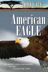 PBS 自然-美国之鹰+改变美国的狼 PBS Nature-American Eagle & The Wolf that Changed America