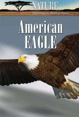 国家地理-PBS 自然-美国之鹰 PBS Nature-American Eagle