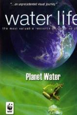 生命之水 1 Water Life-Planet Water