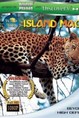 狂野亚洲-海岛魔法 Wild Asia-Island Magic