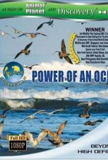 赤道系列-海洋的能源 Equators-Power Of An Ocean