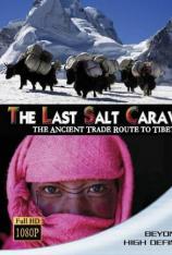 最后的盬道 The Last Salt Caravan