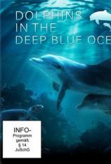 深蓝色海洋里的海豚 Dolphins In The Deep Blue Ocean