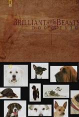 国家地理-动物天才-狗 Brilliant Beasts-Dog Genius