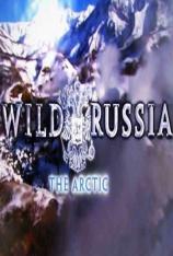 国家地理-野性俄罗斯:北极圈 Wild Russia: Arctic