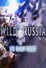 国家地理-野性俄罗斯:秘密森林 Wild Russia: The Secret Forest.
