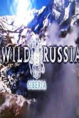国家地理-野性俄罗斯:西伯利亚 Wild Russia: Siberia